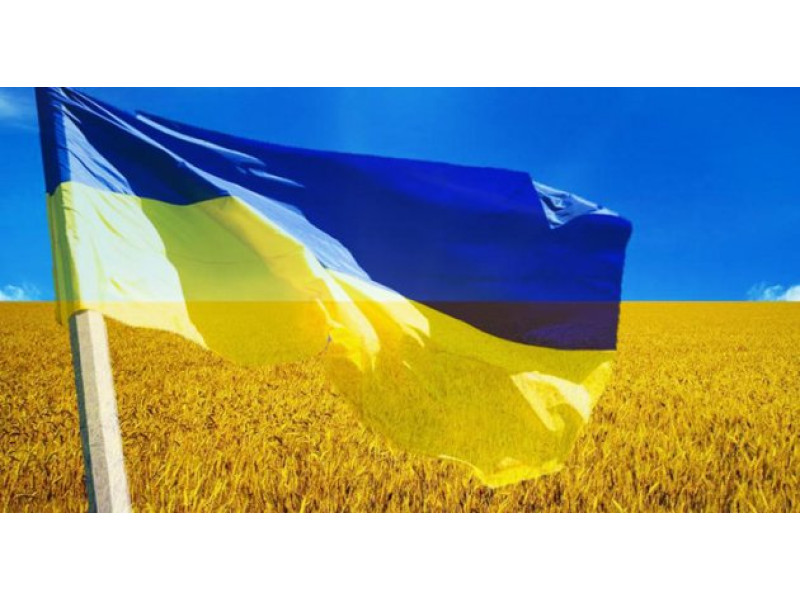 ТОВ МАККОН поновлює свою роботу