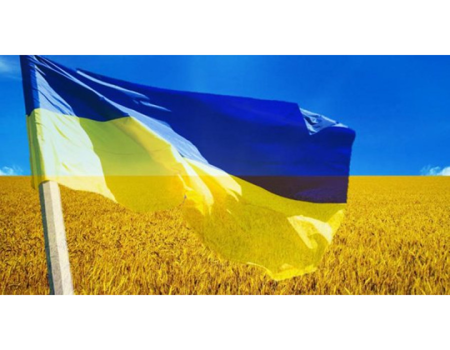 ТОВ МАККОН поновлює свою роботу