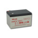 Акумуляторна батарея EnerSys DataSafe 12HX50 (13Аг***)